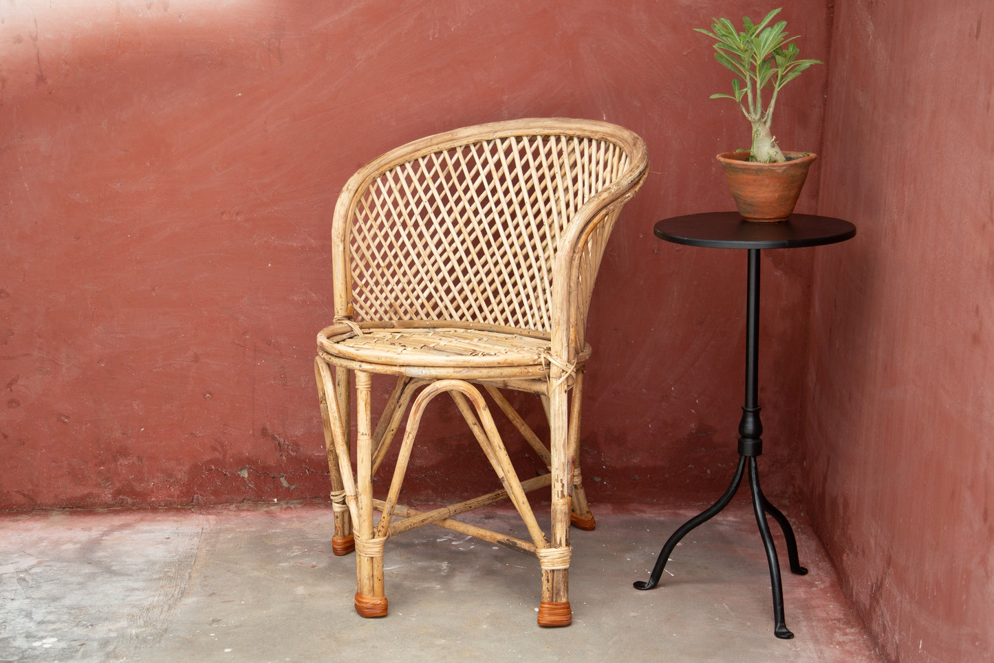 Hara Rattan Chair